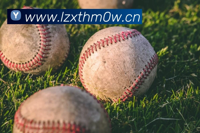 mksports官方公告平台生态图